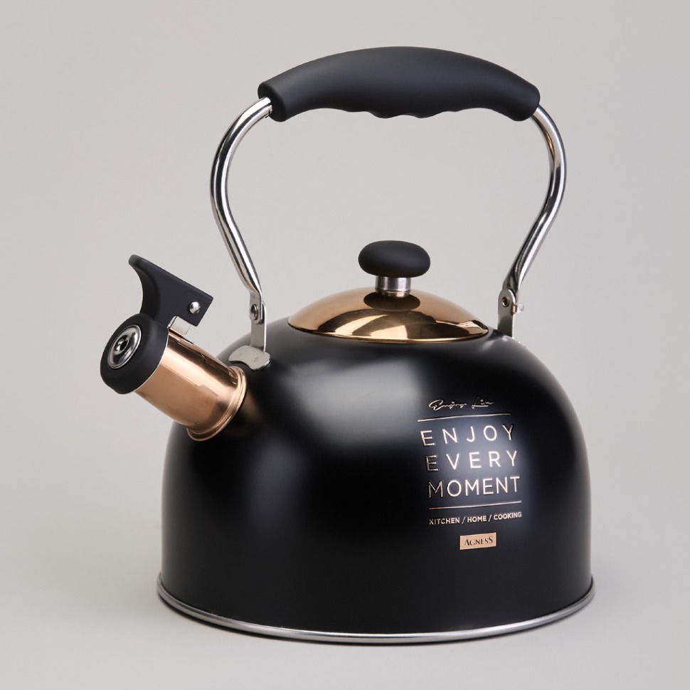 Фото Чайник agness со свистком 2,5 л,нжс индукция (914-162)  - интернет-магазин МегаТерем в Москве
