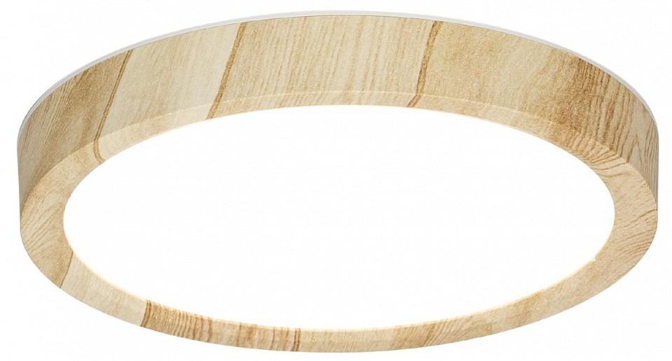 Фото Накладной светильник Citilux Бейсик CL738122N - интернет-магазин МегаТерем в Москве