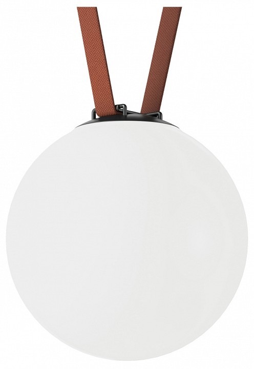 Фото Накладной светильник Denkirs Belty Orb DK5554-BK DK_DK5554-BK - интернет-магазин МегаТерем в Москве