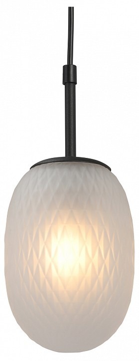 Фото Подвесной светильник Vitaluce V28210 V28210-1/1S VI_V28210-1_1S - интернет-магазин МегаТерем в Москве
