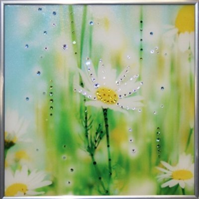 Картина Свежесть с кристалл...