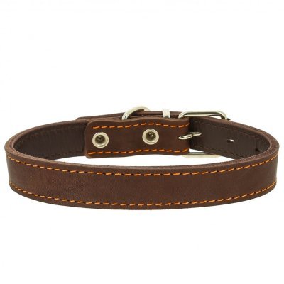 Ошейник кожаный двойной Кас...