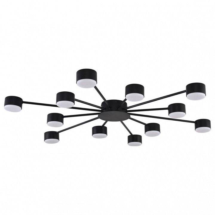 Фото Потолочная люстра Lumion TORINA 8344/12C LMN_8344_12C - интернет-магазин МегаТерем в Москве