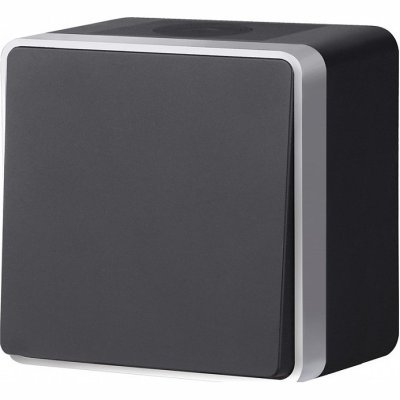 Выключатель одноклавишный в...