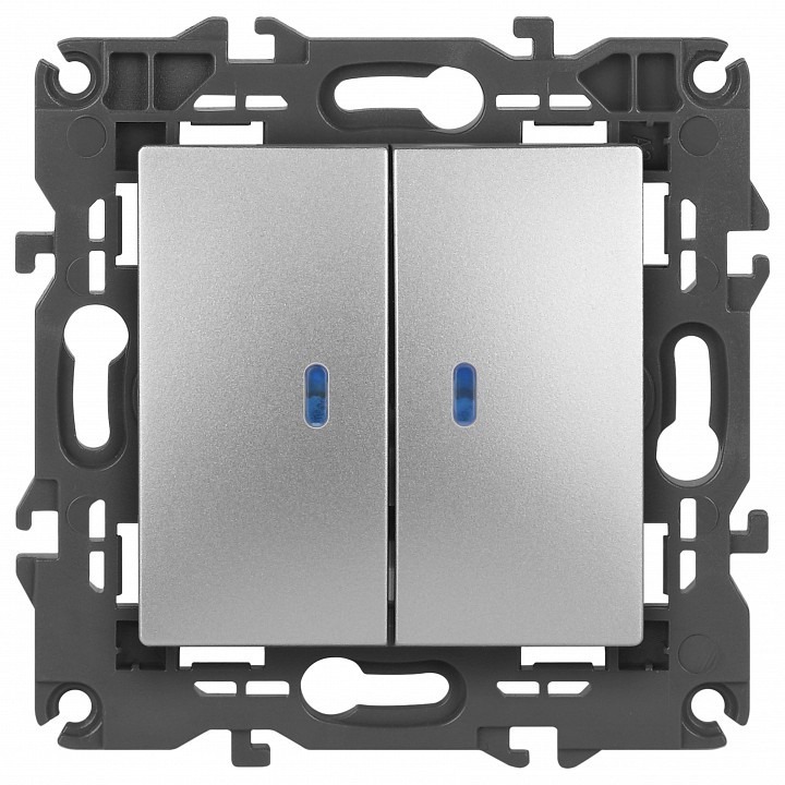 Фото Выключатель двухклавишный с подсветкой без рамки Эра Эра Elegance 14-1105-03 ER_B0034239 - интернет-магазин МегаТерем в Москве