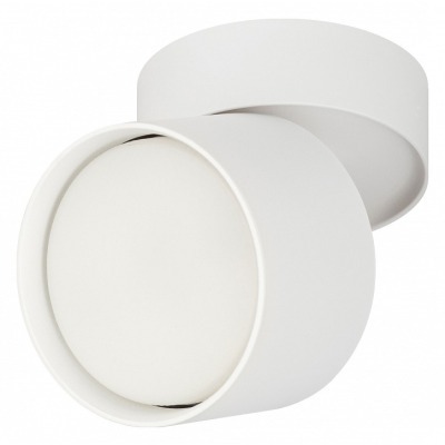 Светильник на штанге Эра OL...