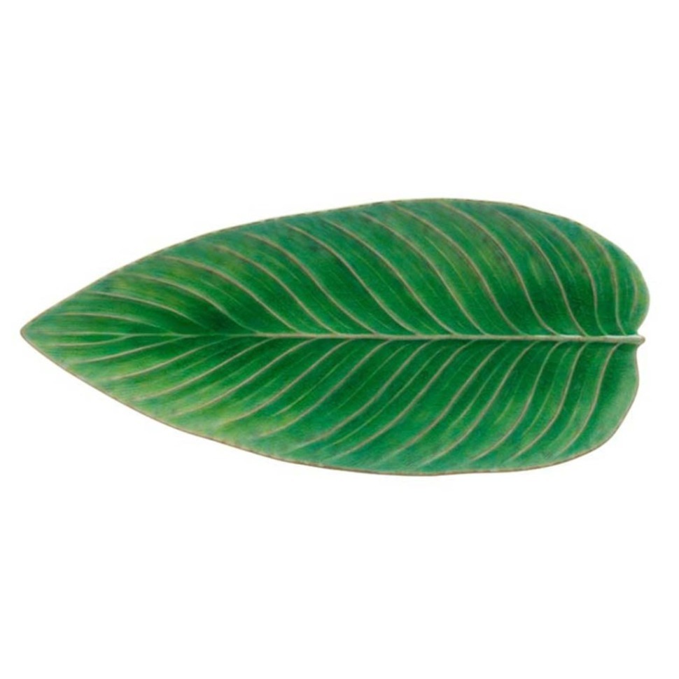 Фото Блюдо VEA401-TMT(VEA401-00816L), керамика, Tomate, Costa Nova - интернет-магазин МегаТерем в Москве