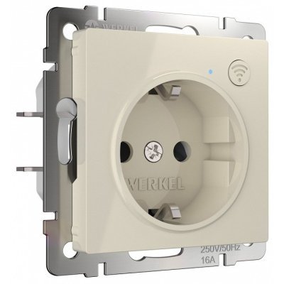 Розетка с заземлением и со шторками, без рамки с Wi-Fi Werkel слоновая кость W1171603 WRK_a056421