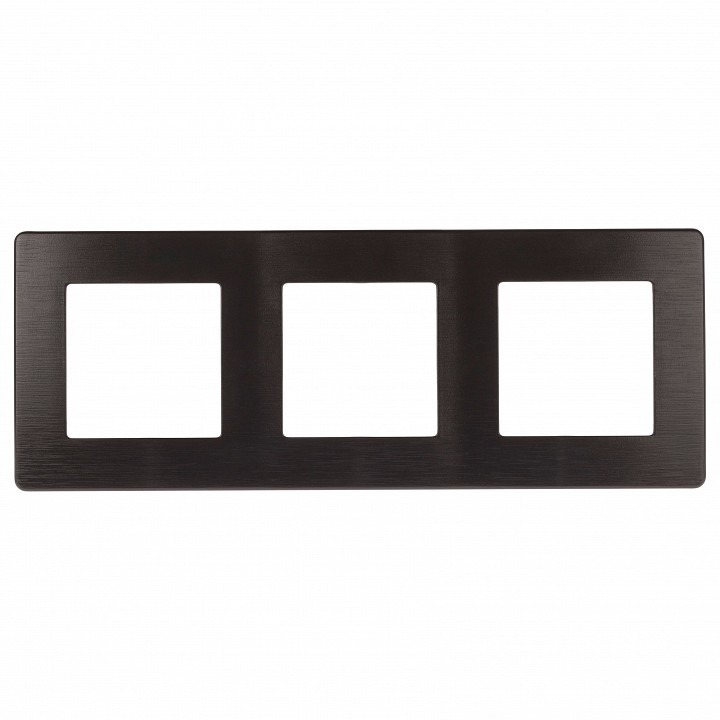Фото Рамка на 3 поста Эра Эра 12 12-5103-05 ER_B0052523 - интернет-магазин МегаТерем в Москве