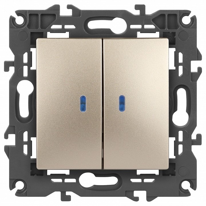 Фото Выключатель двухклавишный с подсветкой без рамки Эра Эра Elegance 14-1105-04 ER_B0034240 - интернет-магазин МегаТерем в Москве