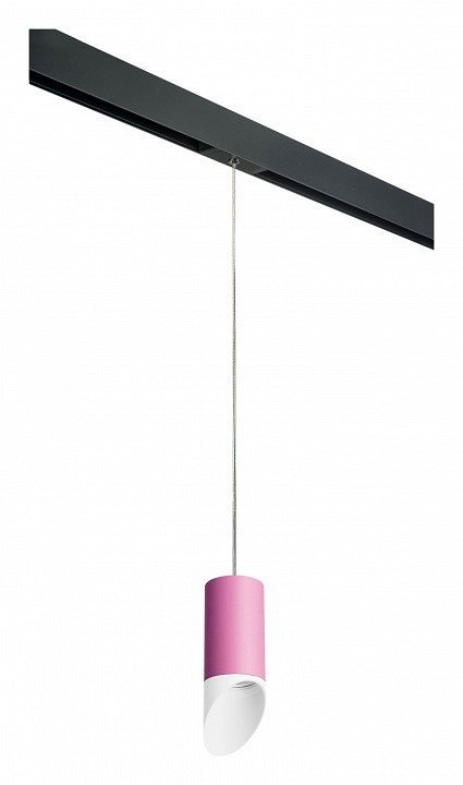 Фото Подвесной светильник Lightstar Rullo PRORP43236 LS_PRORP43236 - интернет-магазин МегаТерем в Москве