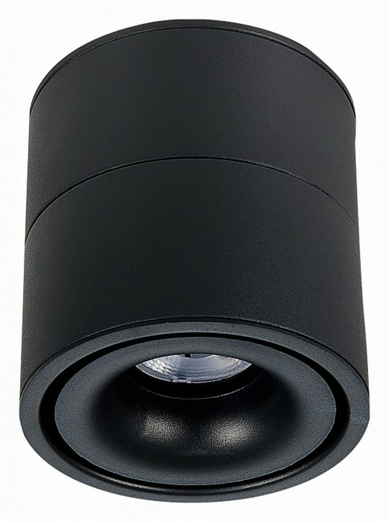 Фото Светильник на штанге ST-Luce ST652 ST652.442.12 - интернет-магазин МегаТерем в Москве