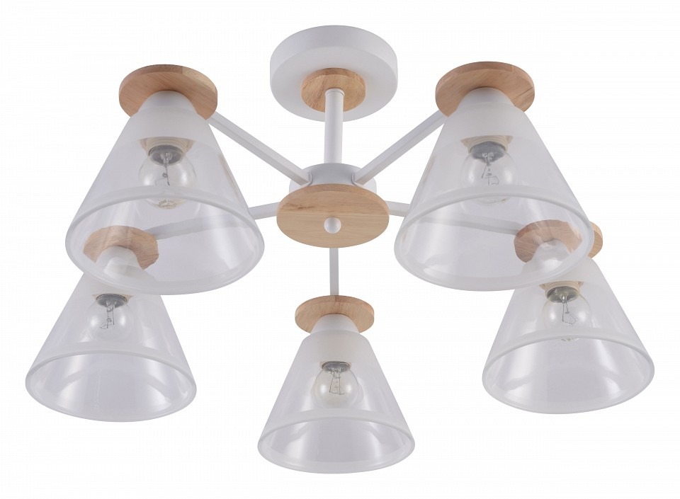 Фото Люстра на штанге Rivoli Theothila Б0068467 RVL_B0068467 - интернет-магазин МегаТерем в Москве