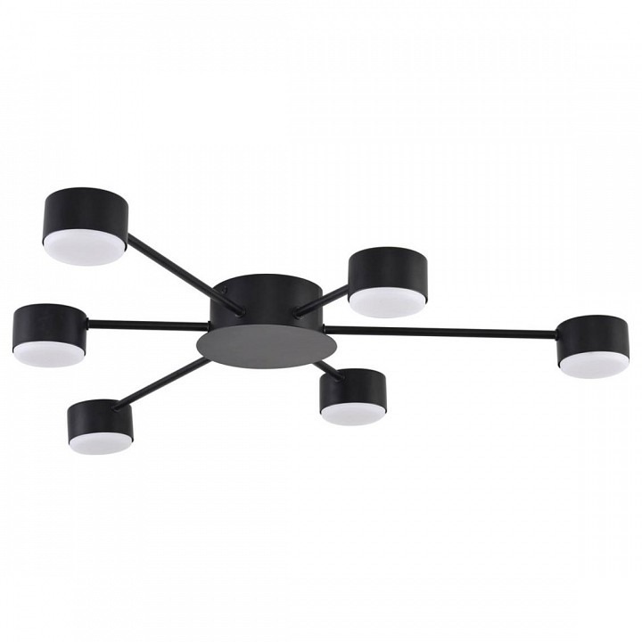 Фото Потолочная люстра Lumion TORINA 8344/6C LMN_8344_6C - интернет-магазин МегаТерем в Москве