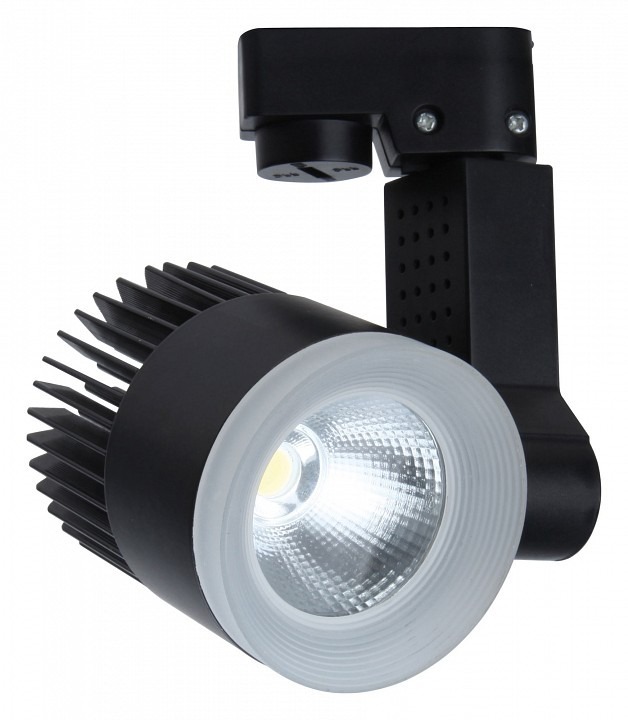 Фото Светильник на штанге Escada 20030 20030TRA/02LED SBK ESC_20030TRA_02LED_SBK - интернет-магазин МегаТерем в Москве