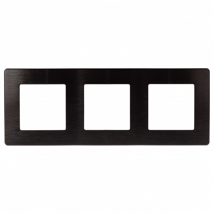 Фото Рамка на 3 поста Эра Эра 12 12-5103-06 ER_B0052524 - интернет-магазин МегаТерем в Москве