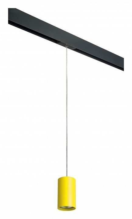 Фото Подвесной светильник Lightstar Rullo PRORP433 LS_PRORP433 - интернет-магазин МегаТерем в Москве