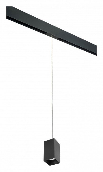 Фото Подвесной светильник Lightstar Rullo PRORP6587 LS_PRORP6587 - интернет-магазин МегаТерем в Москве