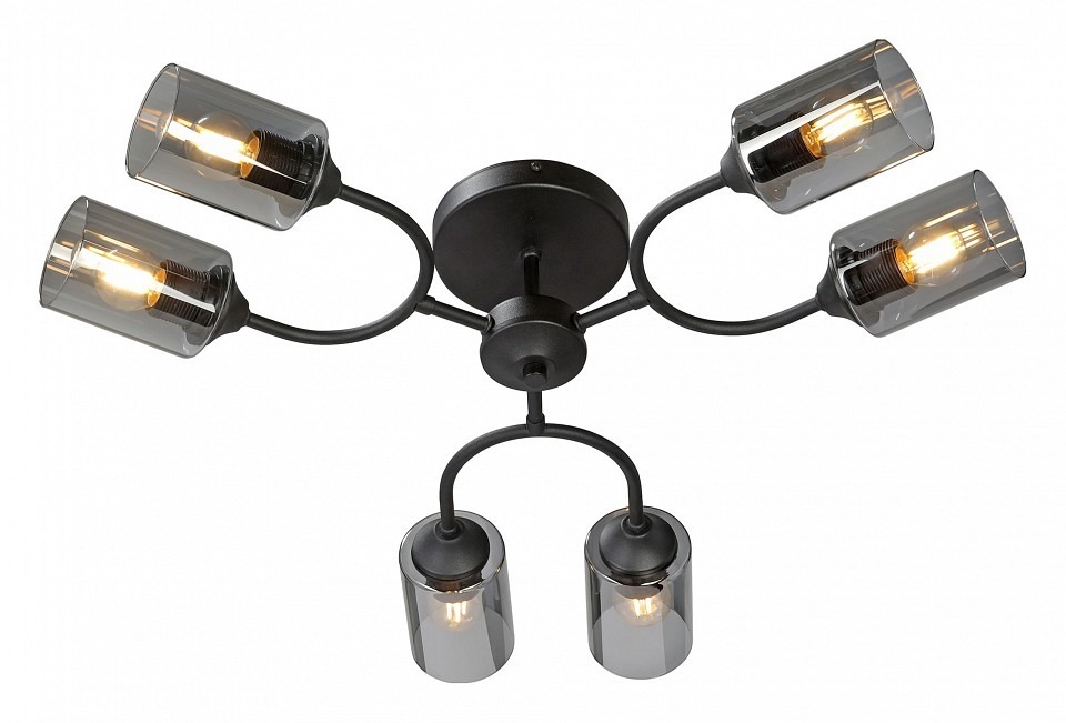 Фото Потолочная люстра Vitaluce V2823 V2823-1/6PL VI_V2823-1_6PL - интернет-магазин МегаТерем в Москве