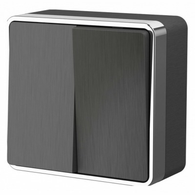 Выключатель двухклавишный W...