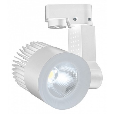 Светильник на штанге Escada 20030 20030TRA/02LED SWH ESC_20030TRA_02LED_SWH