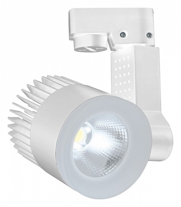 Фото Светильник на штанге Escada 20030 20030TRA/02LED SWH ESC_20030TRA_02LED_SWH - интернет-магазин МегаТерем в Москве