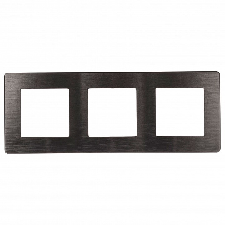Фото Рамка на 3 поста Эра Эра 12 12-5103-12 ER_B0052525 - интернет-магазин МегаТерем в Москве