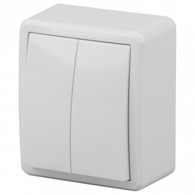 Выключатель двухклавишный Э...