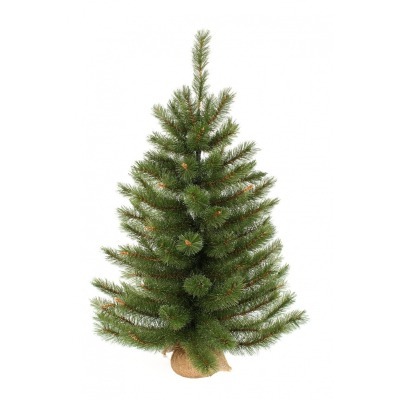 Триумф сосна сказочная 90 с...