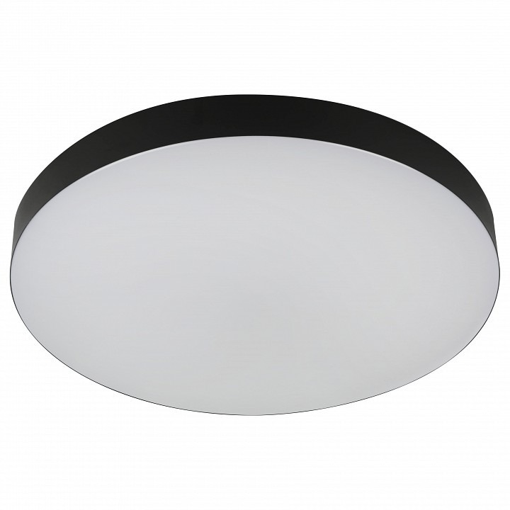 Фото Накладной светильник Эра Relict Relict 48 Pult SPB-6-60-RC BK ER_B0059497 - интернет-магазин МегаТерем в Москве