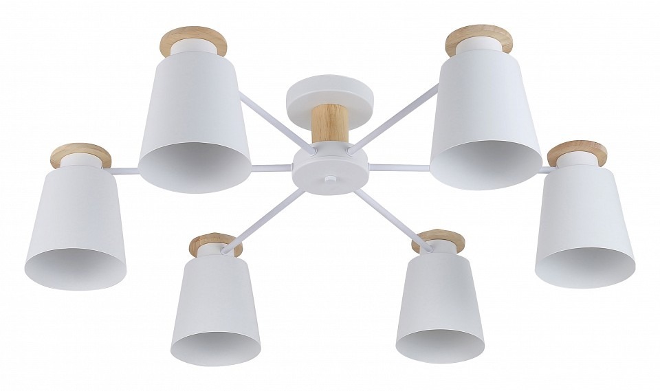 Фото Потолочная люстра Rivoli Adna Б0053436 RVL_B0053436 - интернет-магазин МегаТерем в Москве