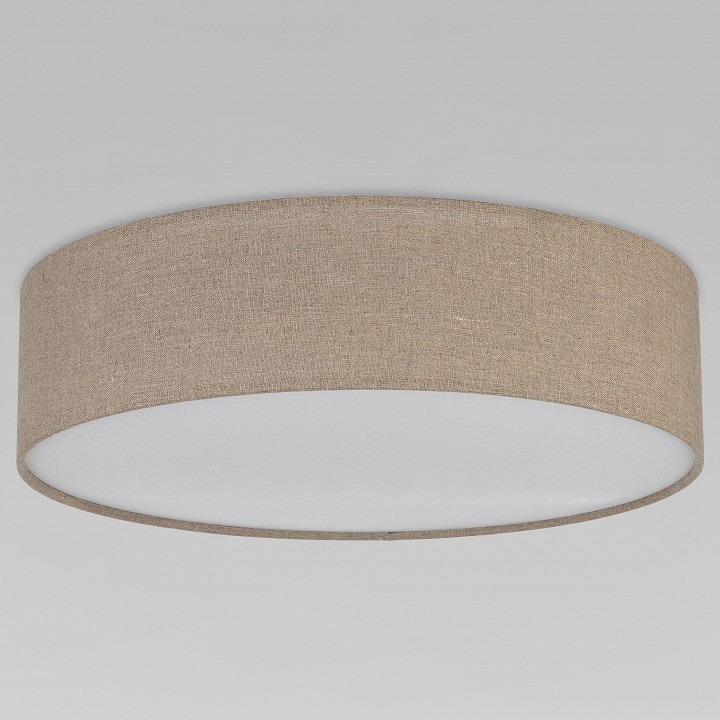 Фото Накладной светильник TK Lighting Earth 10166 Earth EV_a068554 - интернет-магазин МегаТерем в Москве