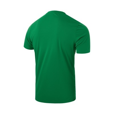 Футболка вратарская JÖGEL D...