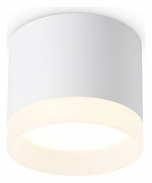 Фото Накладной светильник Ambrella Light TN TN5365 AMBR_TN5365 - интернет-магазин МегаТерем в Москве