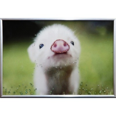 Картина Символ года пятачок с кристаллами Swarovski (2107)