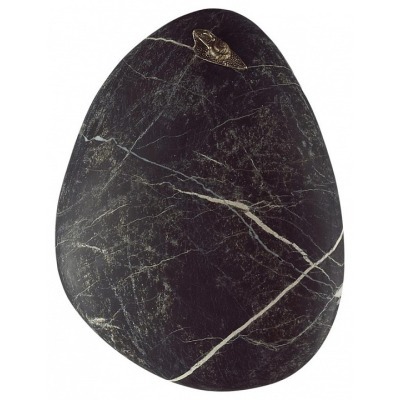 Накладной светильник Odeon ...