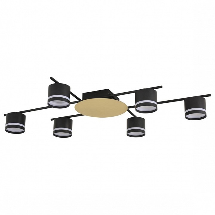 Фото Потолочная люстра Lumion BENUA 8304/6C LMN_8304_6C - интернет-магазин МегаТерем в Москве