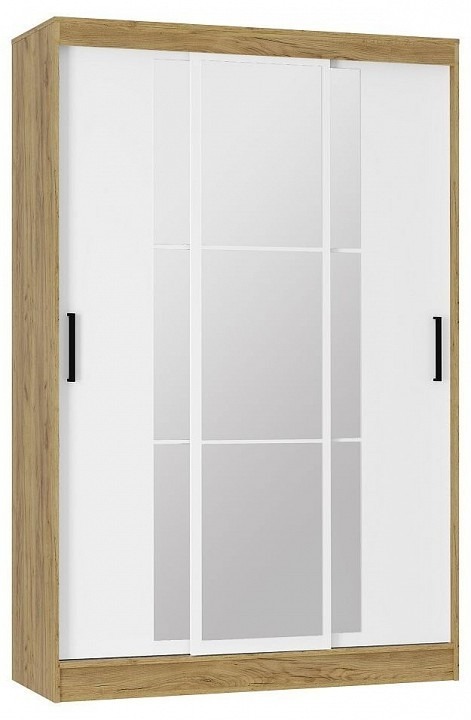 Фото Шкаф-купе Тайм BTS_00-00164149 - интернет-магазин МегаТерем в Москве