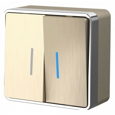 Выключатель двухклавишный с подсветкой Werkel Gallant (шампань рифленый) W5020110 WRK_a051043