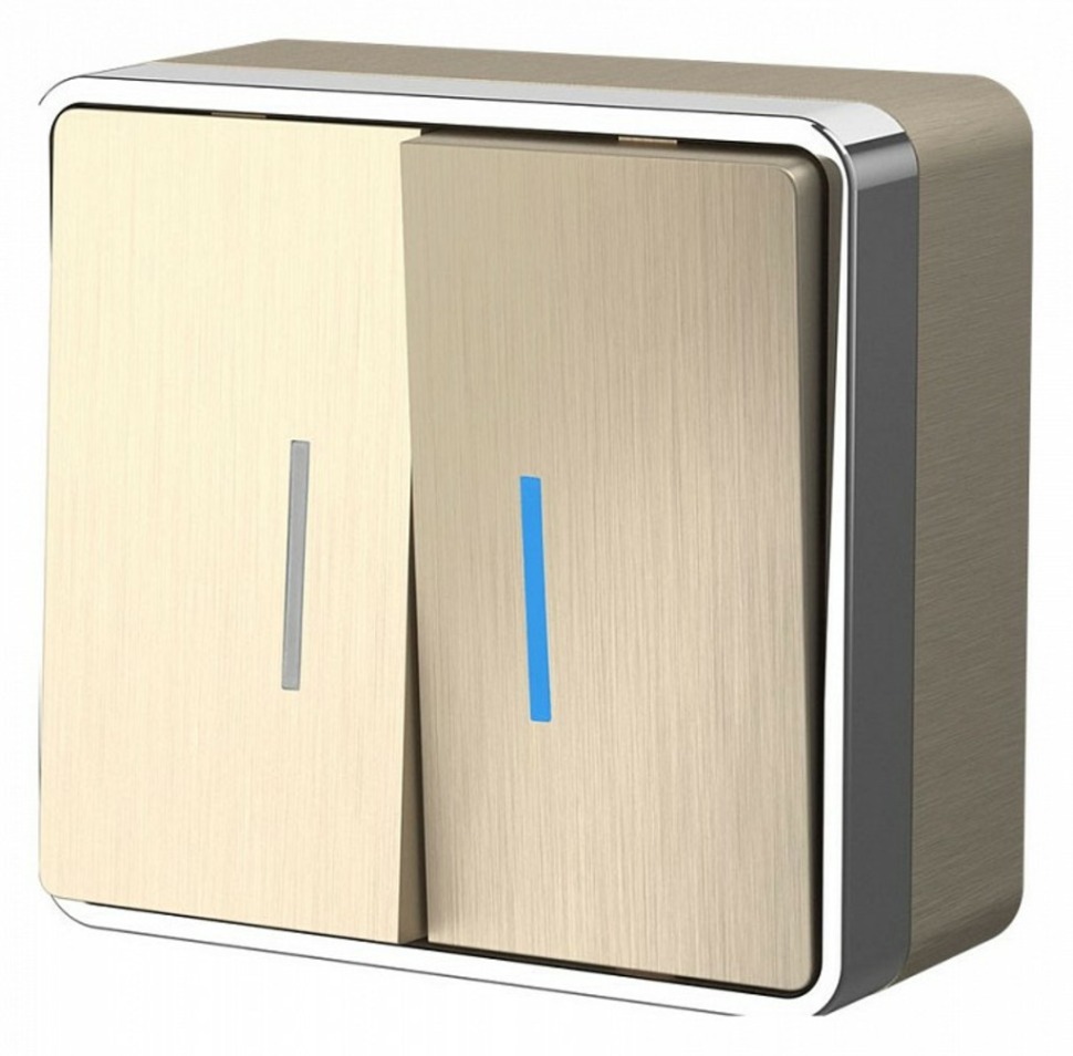 Фото Выключатель двухклавишный с подсветкой Werkel Gallant (шампань рифленый) W5020110 WRK_a051043 - интернет-магазин МегаТерем в Москве