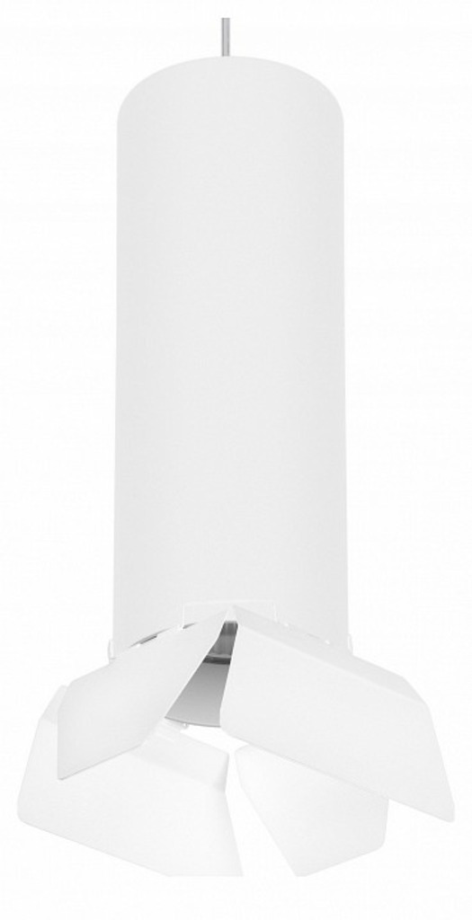 Фото Подвесной светильник Lightstar Rullo RP6496486 LS_RP6496486 - интернет-магазин МегаТерем в Москве