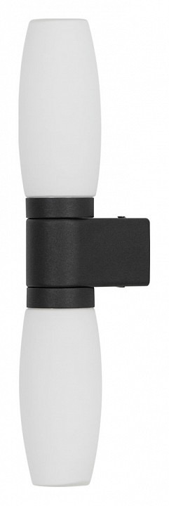 Фото Светильник на штанге Arte Lamp Aqua-Bastone A1209AP-2BK AR_A1209AP-2BK - интернет-магазин МегаТерем в Москве