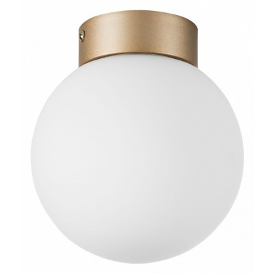 Накладной светильник Lightstar Globo 812013 LS_812013
