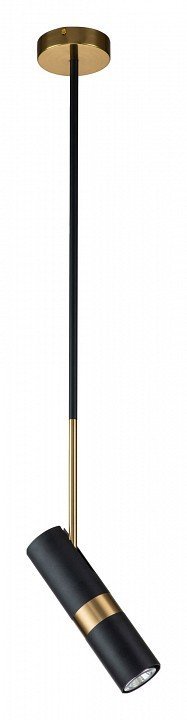 Фото Светильник на штанге Favourite Light point 2997-1P FV_2997-1P - интернет-магазин МегаТерем в Москве