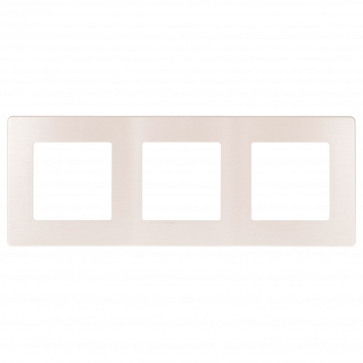 Фото Рамка на 3 поста Эра Эра 12 12-5103-15 ER_B0052528 - интернет-магазин МегаТерем в Москве