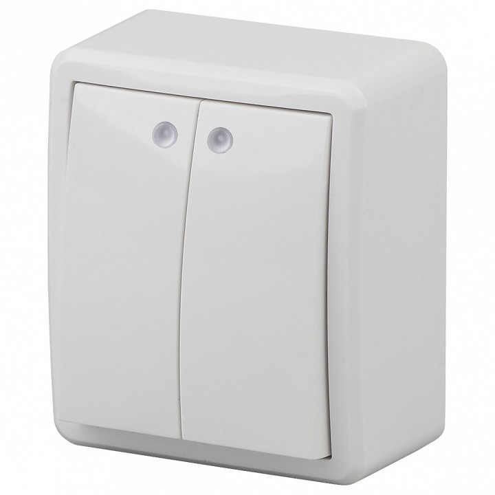 Фото Выключатель двухклавишный с подсветкой Эра Эра Эксперт 11-1205-01 ER_B0020666 - интернет-магазин МегаТерем в Москве