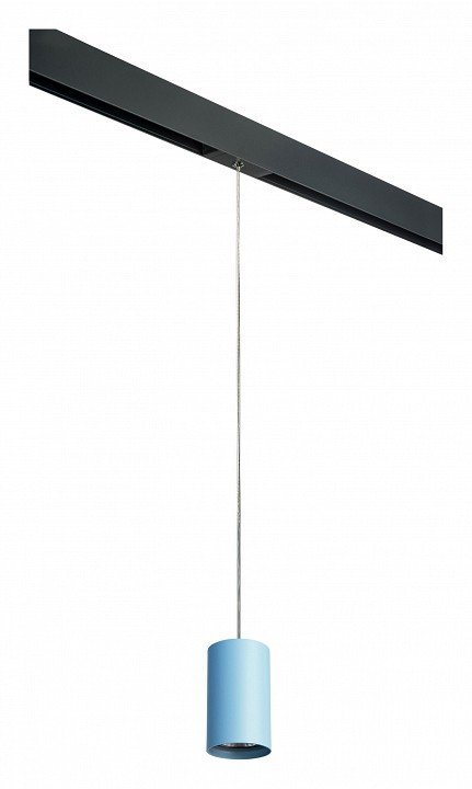 Фото Подвесной светильник Lightstar Rullo PRORP435 LS_PRORP435 - интернет-магазин МегаТерем в Москве