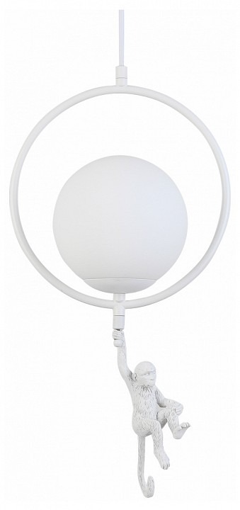 Фото Подвесной светильник EVOLUCE Tenato SLE115113-01 EVO_SLE115113-01 - интернет-магазин МегаТерем в Москве