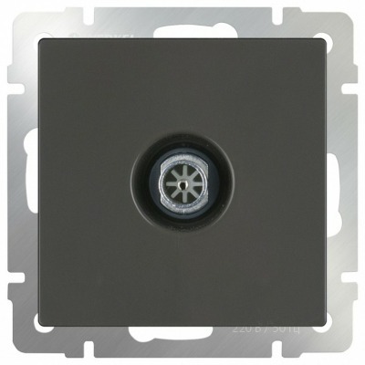 ТВ-розетка оконечная без рамки Werkel Серо-коричневый WL07-TV WRK_a029880