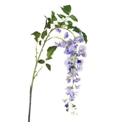 Глициния сиреневая, 142см (...